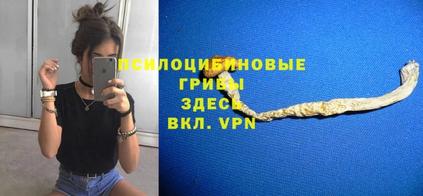 СК Кодинск