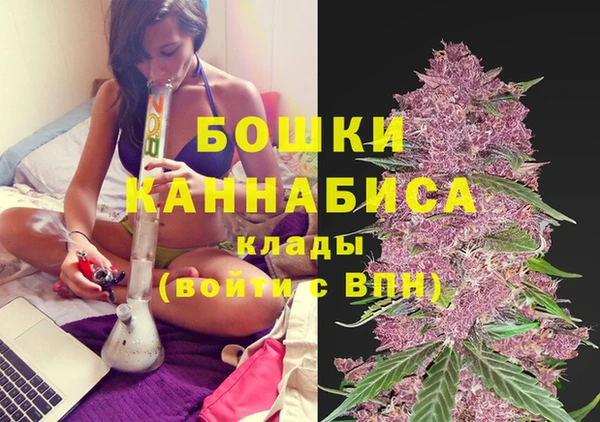 СК Кодинск