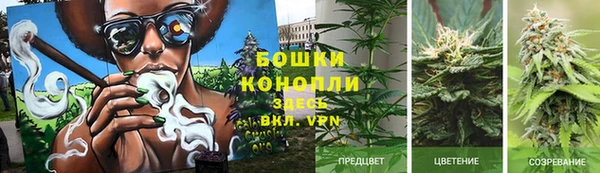 ешки Козельск