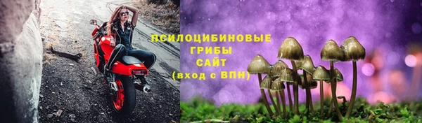 СК Кодинск
