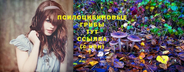 ешки Козельск